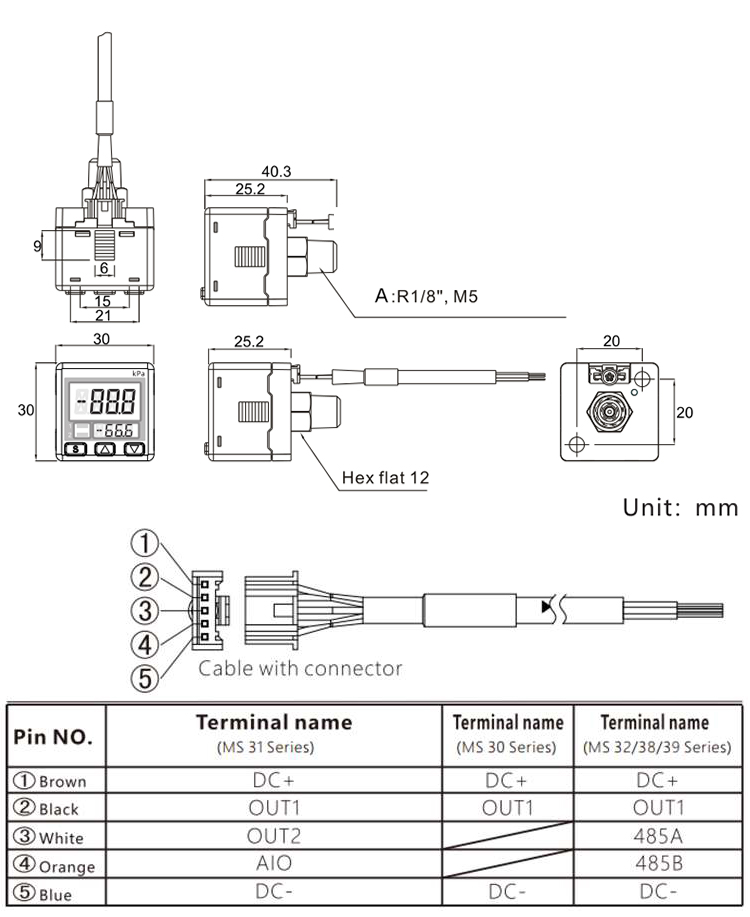 pressure switch,pressure gauge